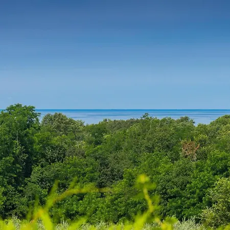 Villa Beautiful Casa Nova With Pool In Brtonigla