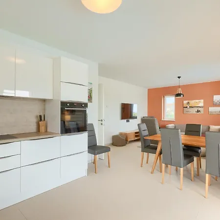Beautiful Casa Nova With Pool In Villa Brtonigla