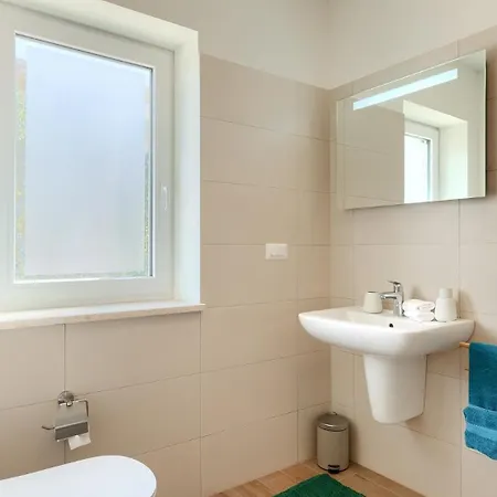 Vila Beautiful Casa Nova With Pool In Brtonigla